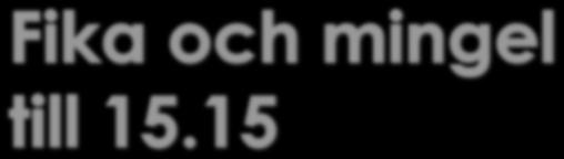 www.emcsverige.
