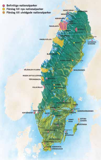 Vanliga djur i de svenska naturreservaten är till exempel älgar, rådjur, harar, fåglar och ekorrar.