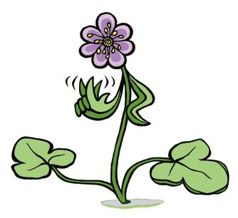 Så här kan du skydda naturen. Testa dig själv. Svaren finns hos din lärare. Här har du tips på hur du enkelt kan skydda naturen och se till att din närmiljö är ren och fin.