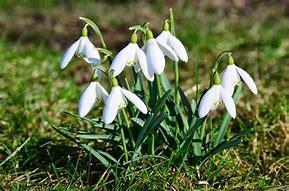 SPF Seniorerna Vaxholm KALENDARIUM april - maj APRIL 1 söndag Senaste dag för anmälan till Musikvalvet Baggen 6 fredag Senaste dag för betalning till Musikvalvet Baggen 16 måndag Månadsträff i