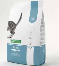 aktivera din katt och stimulera alla