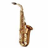 ALTSAX YANAGISAWA WO-20 Bästa saxen som finns. Fantastisk mekanik och väldigt fin ton!