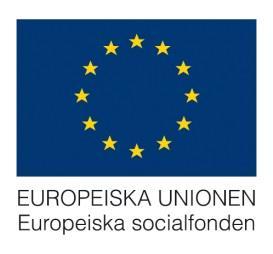 följeforskning av kompetensprojektet