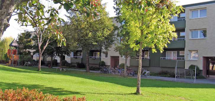 Renoveringen kommer att ske både i lägenheterna och i de allmänna utrymmena.
