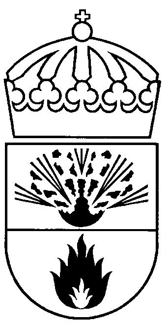 SPRÄNGÄMNESINSPEKTIONEN 996-05- National Swedish Inspectorate of Eplosives and Flammables B-enheten Tord Börjesson Internt 08-799 83 49 PM FÖRESTÅNDARE BRANDFARLIG VARA BENSINSTATIONER Specifikation