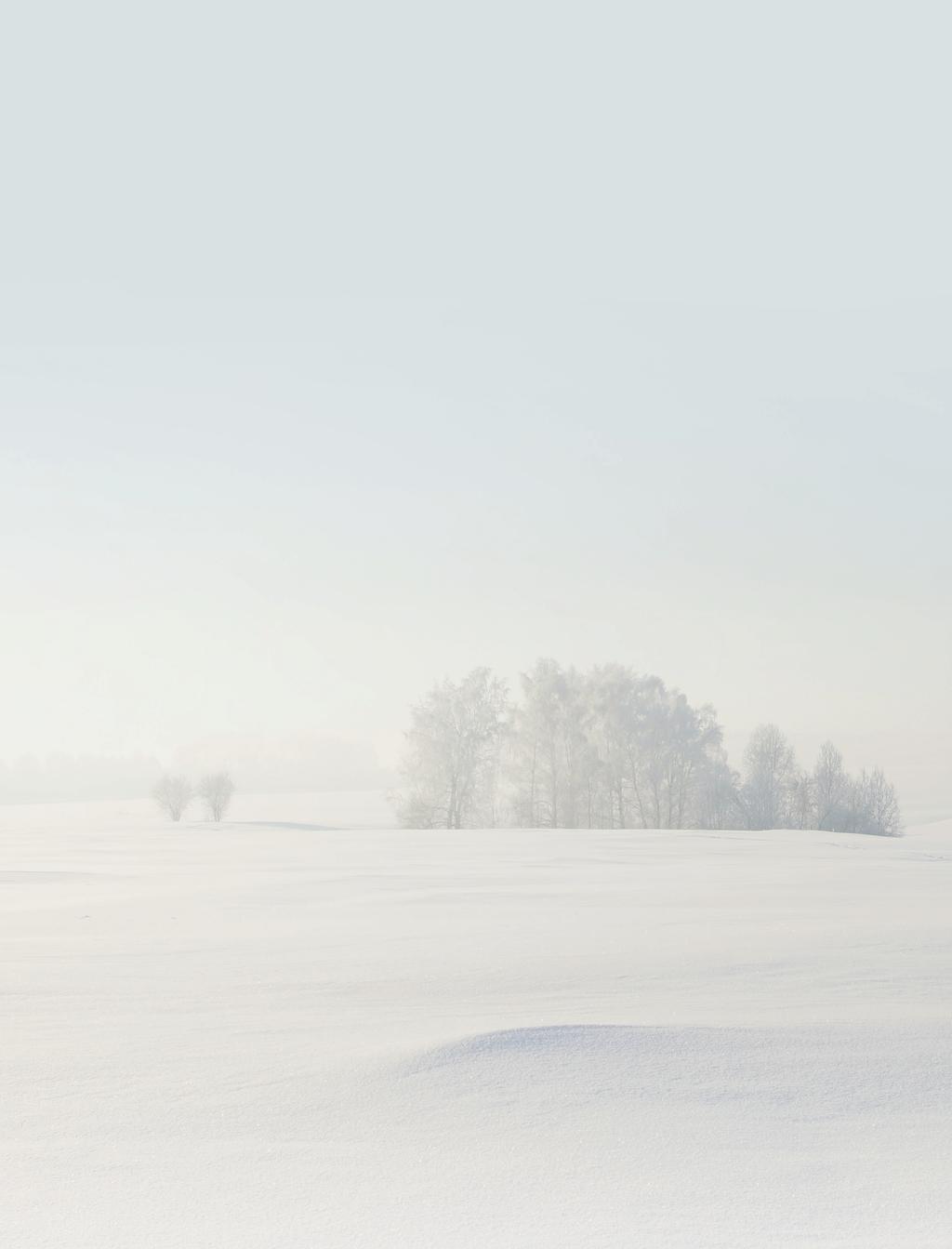 Företag Förnybara och