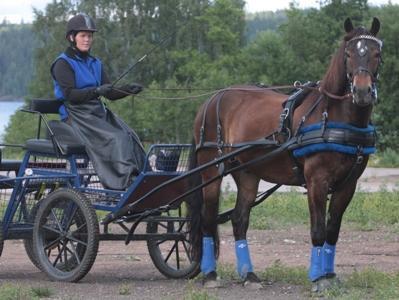 MED PRINSEN PÅ TÄVLINGSDEBUT I GÖTENE Nu skulle det ske. Vi styrde mot Götene för att debutera i en maraton/dressyrkörtävling.