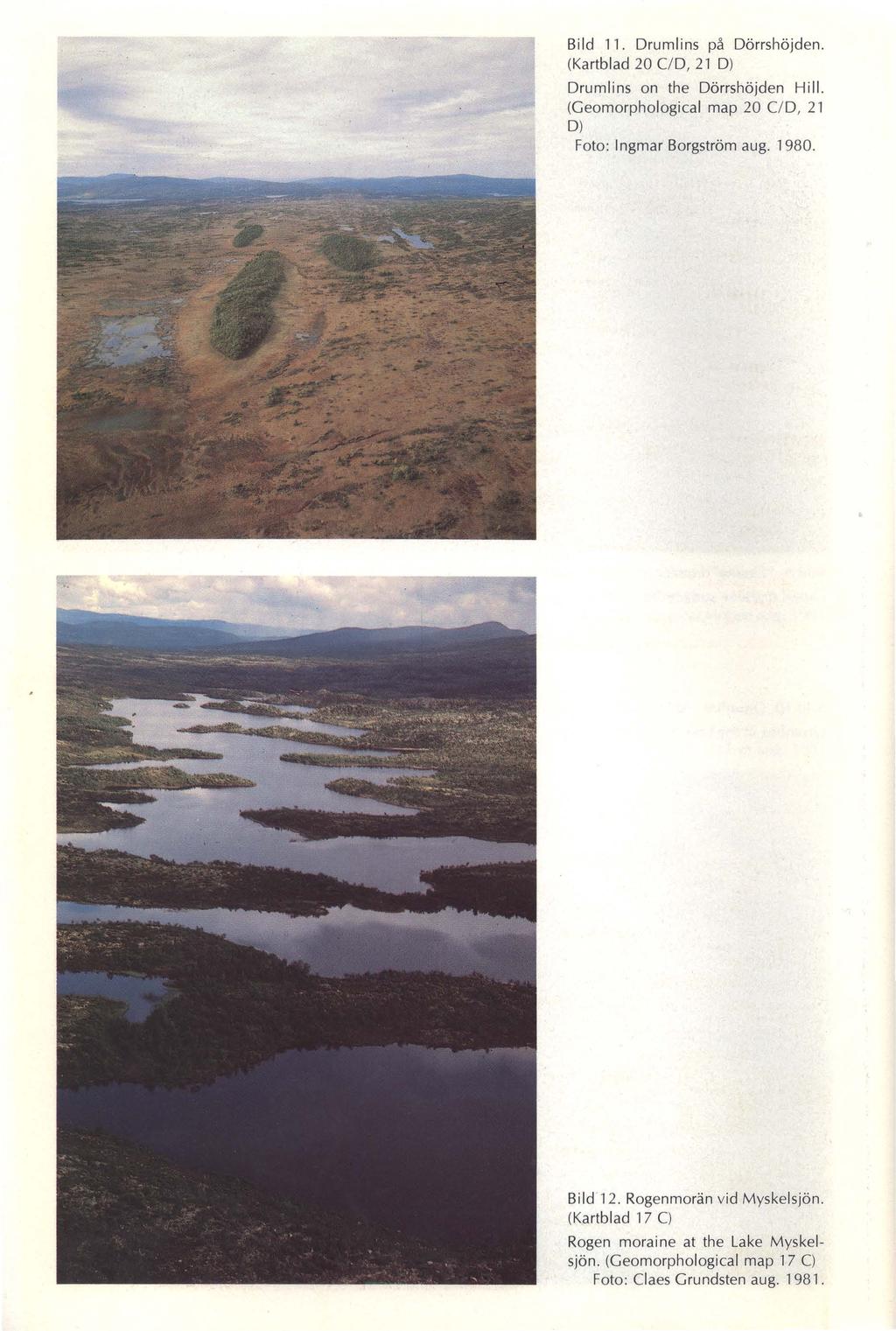 Bild 11. Drumlins på Dörrshöjden. (Kartblad 20 C/D, 21 D) Drumlins on the Dörrshöjden Hill. (Geomorphological map 20 C/D, 21 D) Foto: Ingmar Borgström aug.