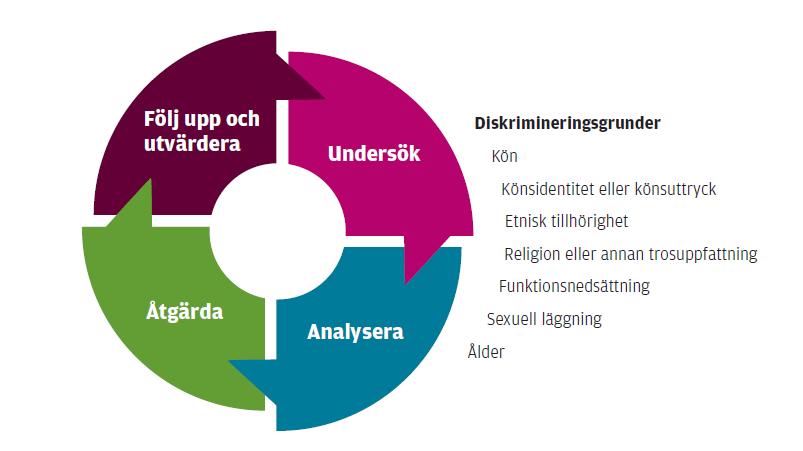 6 (15) Enligt diskrimineringslagen ska utbildningsanrdnare arbeta i fyra steg: 1.