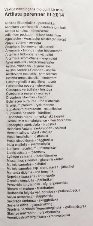 Ovan redovisas de perenner som man i årskurs tre på landskapsarkitektprogrammet har lärt sig. Det är dessa växter som är utgångspunkten i växtvalet.