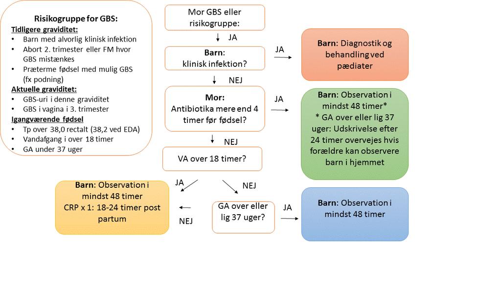 1. Ved klinisk infektion af barnet gøres diagnostik og behandling ved pædiater (bloddyrkning, CRP, L+D, Hgb, trombocytter, BS. Lumbalpunktur efter skøn. Røntgen af thorax efter skøn, Antibiotika). 2.