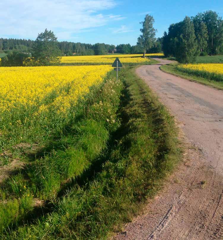 U-Svängen Informationsblad från Länsbygderådet i Västmanland Nr 2/2018 Juli Upplaga 250 ex GLAD SOMMAR!