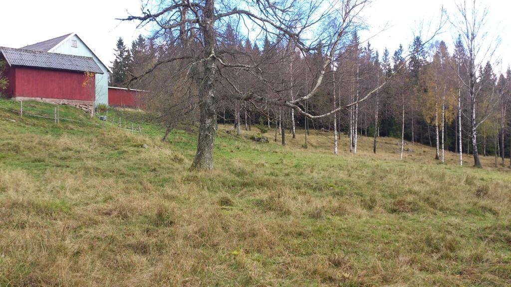 Lokaler Gåshult Gården Gåshult har i alla tider brukats på ett småskaligt sätt. Ängs- och betesmarkerna har haft en kontinuerlig hävd under lång tid.