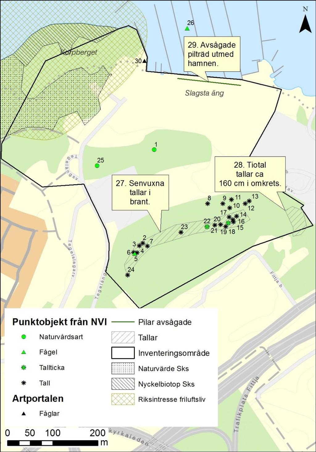 4 RESULTAT Resultaten från fältinventeringen presenteras nedan. Objekten som identifierats vid naturvärdesinventeringen redovisas delvis som punktobjekt (avsnitt 4.