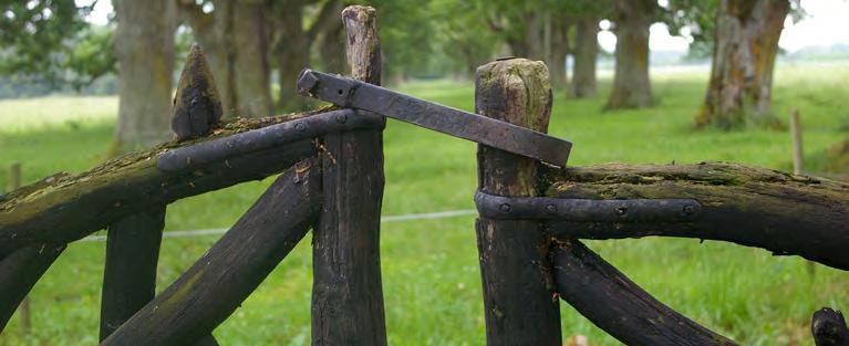 39 41 Kommunredovisningar forts. Stöd och matchning I Stöd och matchning väljer den arbetssökande vilken leverantör hen vill få stöd av.