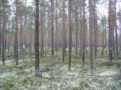 atmosfäriska nedfallet av kväve till skogen i dessa områden är så pass hög att det finns en risk för överskott av kväve, vilket kan leda till kväveutlakning (Zetterberg m.fl., 6).
