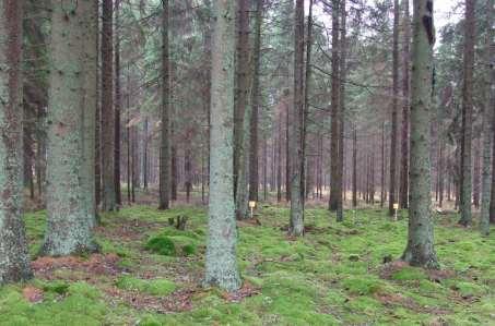 De nederbördskemiska mätningarna över öppet fält avslutades i december 1 och numera mäts deposition i skog (krondropp) och markvattenkemi.