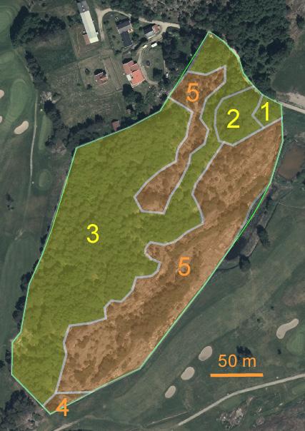 Naturvärdesobjekt Fem naturvärdesobjekt avgränsades vid fältbesöket (figur 1). Två hamnade i naturvärdesklass 3 (påtagligt naturvärde) och tre i naturvärdesklass 4 (visst naturvärde).