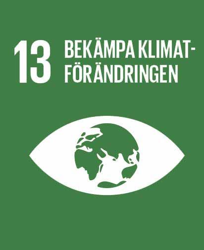 Mål 13 i Agenda 2030