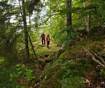 FRAMGÅNGSFAKTOR God tillgång till natur- och friluftsliv Måluppfyllelse Tillfredsställande måluppfyllelse Region Östergötland har ett uppdrag att driva utvecklingsarbete inom natur- och friluftsliv