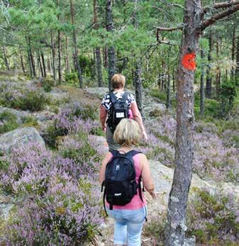 Förstudien visade att det i dagsläget saknas interna uppföljningssystem i Region Östergötland för att kunna följa användandet av evidensbaserade metoder från journalsystemet.