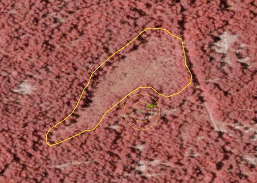 Figur 14. Infraröd färgflygbild med exempel på plant kärr med risdominerad fastmatta, så kallad ristuvevegetation. 3.