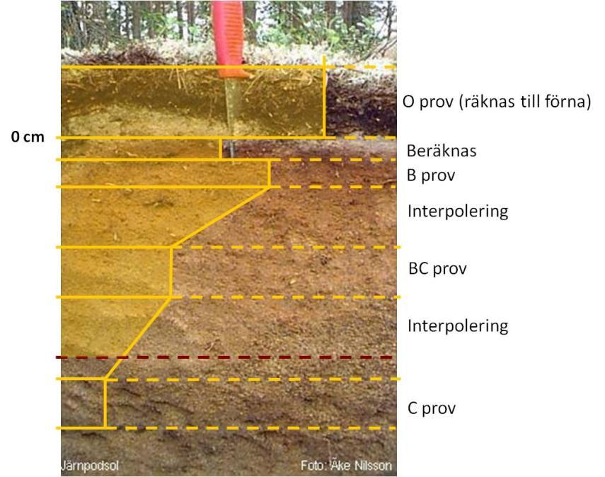 Skogsmark och betesmark - mineraljordar Förändringen i markkolspoolen skattas som nettoförändringen på återinventerade provytor.