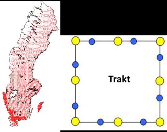 Träd kan förekomma på Bebyggd mark och mäts på Riksskogstaxeringens underliggande ägoslag Väg och järnväg, Kraftledning inom skogsmark och Annan mark.