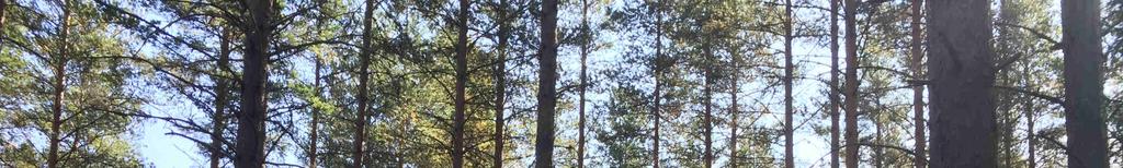 Natur och Kultur Inga nyckelbiotoper eller höga naturvärden finns registrerade på fastigheten. Skifte 3 samt 4 berörs av registrerat fornlämningsområde avs. lämningar efter tidigare fäboddrift.