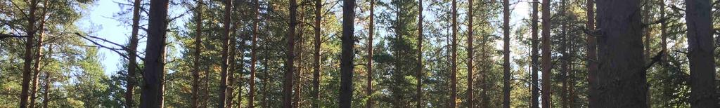 Det är förbjudet att utan tillstånd från Länsstyrelsen på något sätt förändra, ta bort, skada eller täcka över en fornlämning. Avdelning 2.