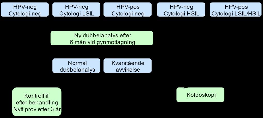 Uppföljning