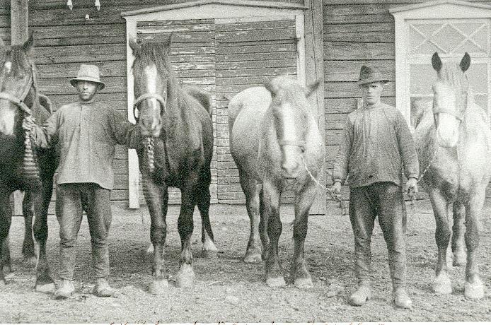 Sköld och David Johansson