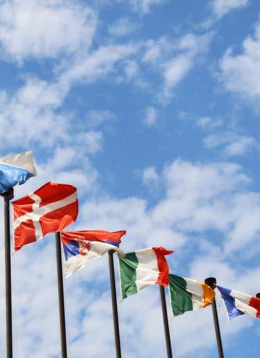 E-BOK EN INTERNATIONELL ARBETSMARKNAD Det här