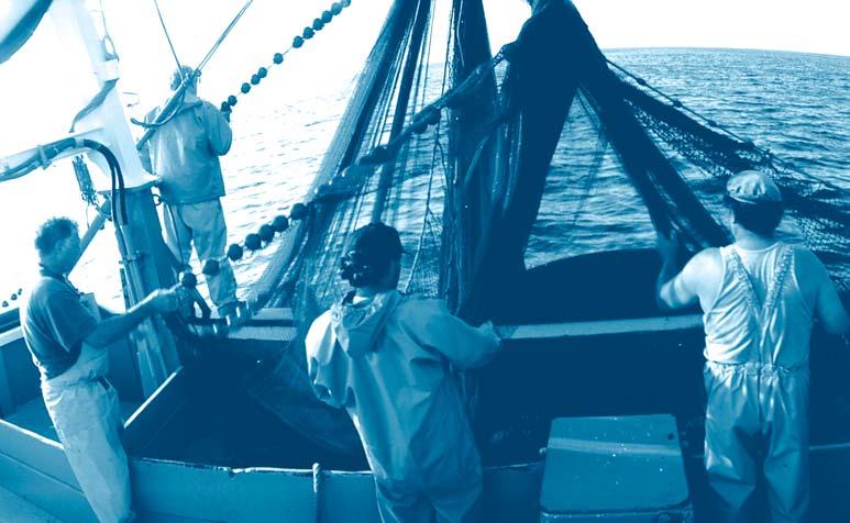 4 1. Fiskaryrket en EU-översikt Tiderna förändras: Under 2002/2003 låg den totala sysselsättningen inom fiskerinäringen på omkring 421 000 personer.