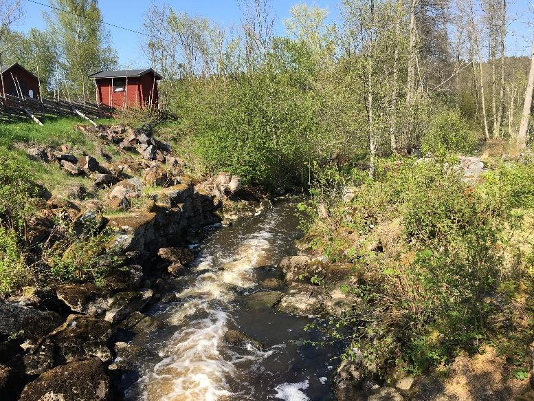 Hajken avslutades på Karlsuddsbadet där Edvin och Vidar badade! Vi andra avstod eller badade fötterna, solade och lagade lunch istället.