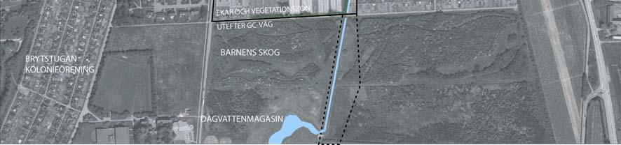 Vasatorpsvägen samtidigt som vegetationen läses samman med Gubbaparken norr om