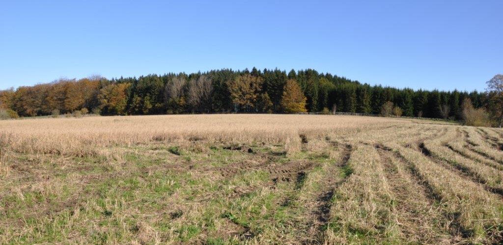 Rättsförhållanden Fastighet Fastighetsbeteckningen är Höör Kärrarp 1:20 och fastigheten är belägen i Höörs kommun, Höörs församling. Adress till gården: Svanarp 203, 243 91 Höör.