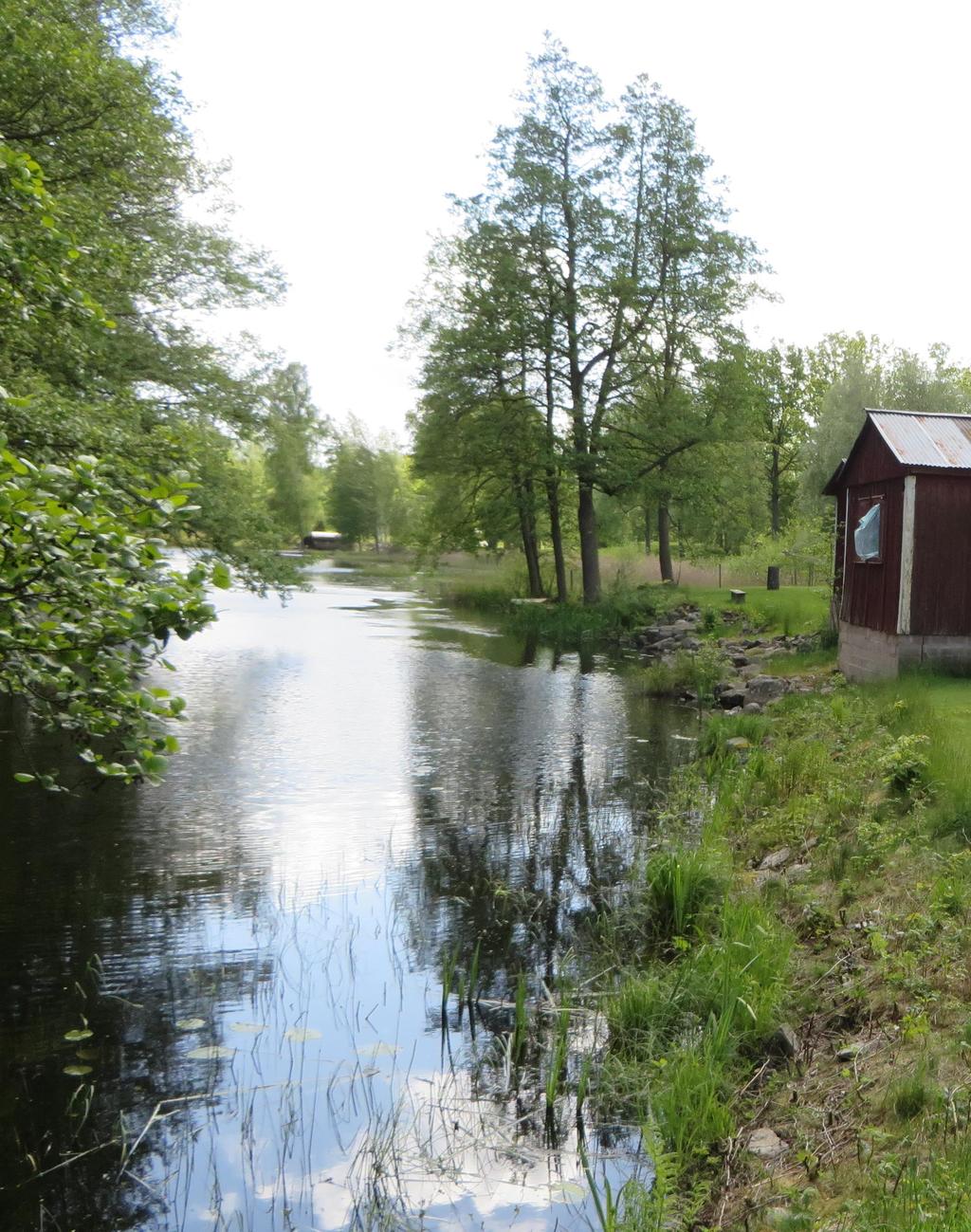 Vissefjärda