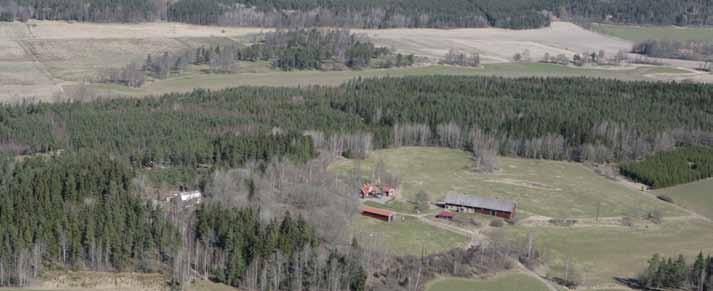 Adra värdefulla aturmiljöer är blad aat Lövstadsjö med omgivade våtmarker samt de äldre ägs- och hagmarkera krig Ladsjö och Norsholm.