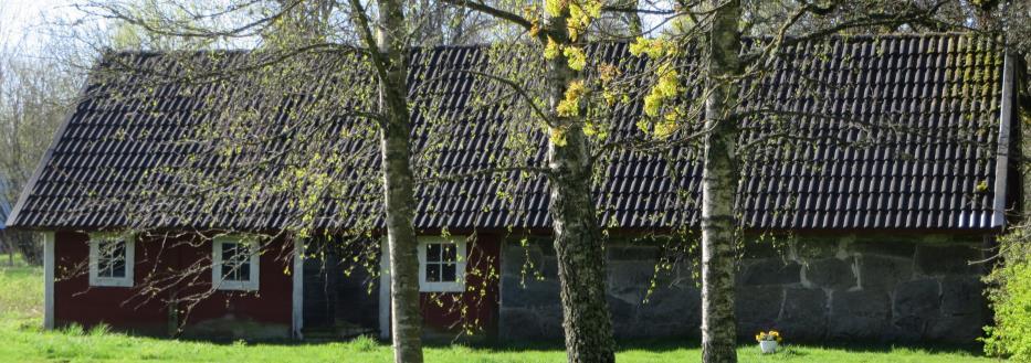 lövträd (Stolpabäck 1:45).
