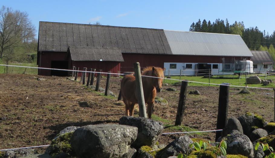 som han använde för att köpa gården.