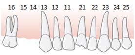 117 (191) 6.5.3.2.
