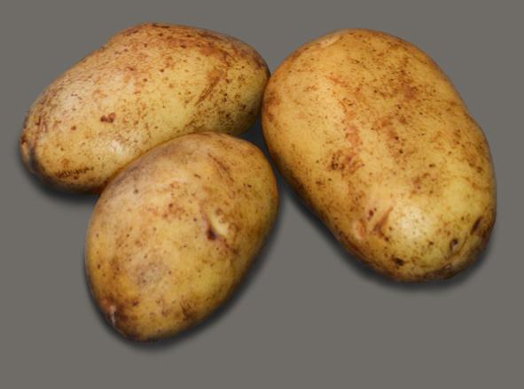 Tabell 7. Kokkvalitet. Resultat från fem ekologiska sortförsök 2012, antalsprocent, från ett knölprov om 50 knölar från 5 potatisförsök.
