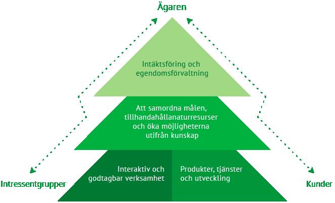 6 Forststyrelsen 2016 Forststyrelsen i Europa och i världen Forststyrelsen samarbetar med forststyrelser och internationella naturskyddsorganisationer i Europa.