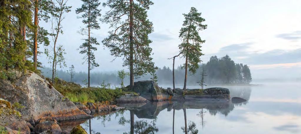 12 Forststyrelsen 2016 Mark- och vattenegendom Forststyrelsen vårdar och använder en tredjedel av Finland. Forststyrelsen förvaltar drygt 12 miljoner hektar statsägda mark- och vattenområden.