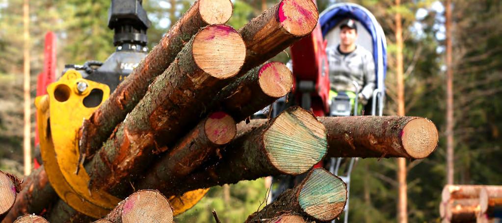 48 Ansvar Dämpandet av klimatförändringen Värdefull kolbindare från skogen blir produkt Skogarna har en stor betydelse för stävjandet av klimatförändringen.