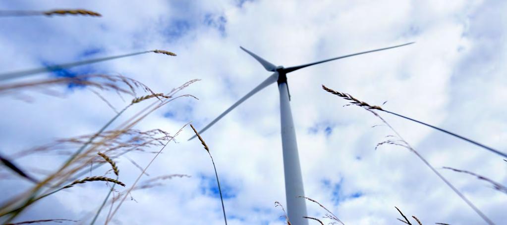 50 Ansvar Energived och vindkraft Klenvirke och grot tas till vara för värmeproduktion Grot som uppkommer som biprodukt vid avverkning i Forststyrelsens mångbruksskogar och virke som inte duger för