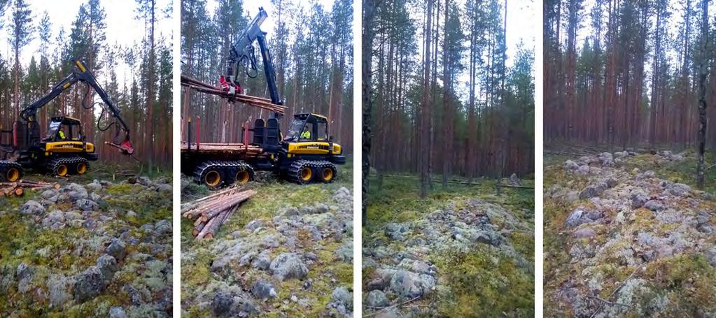 58 Ansvar Kulturarvsobjekten beaktas i det dagliga arbetet Att kulturarvet bevaras i de mångbruksskogar där skogsbruk idkas har säkerställts med hjälp av en inventering av kulturarvet som genomfördes