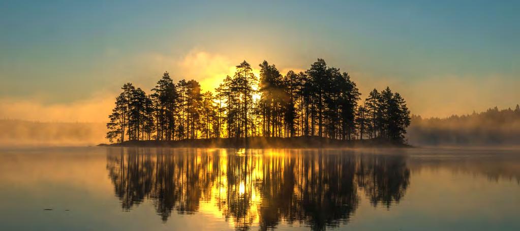 60 Ansvar Skog och mark Forststyrelsen vill genom mångsidiga skydds- och vårdåtgärder värna om och främja den ekologiska och kulturella mångfalden såväl i mångbruksskogarna som i de största