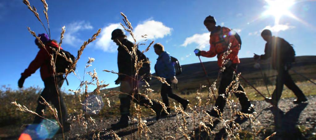 76 Ansvar Naturresursplanering är en lagsport År 2016 startade Forststyrelsen beredningen av naturresursplaneringen för Södra Finland. Planeringsområdet omfattar 16 landskap.